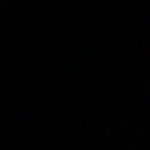 Meet your Posher, Logan